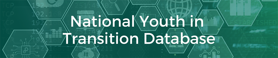 National Youth in Transition Database Banner