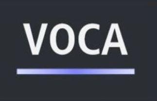 VOCA