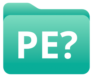 PE Questions icon